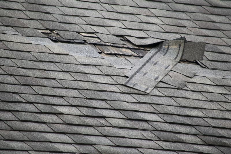 Shingle Seam Repair